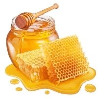 Мёд и продукты пчеловодства в Санкт-Петербурге