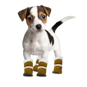 Обувь и носочки для домашних животных в Смоленске