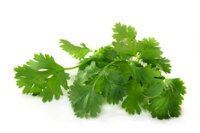 Семена и рассада пряных и пряно-вкусовых культур в Санкт-Петербурге