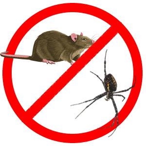 Защита от животных и насекомых в Краснодаре