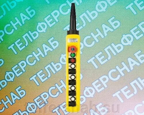 ПУЛЬТ 10 КНОПОЧНЫЙ, 2 СТУПЕНЧАТЫЕ КНОПКИ + СТОП БУТОН + СТАРТ + СТОП + КЛЮЧ (XАС-A10913Y) от компании ТЕЛЬФЕРСНАБ/ Грузоподъемное оборудование в Нижнем Новгороде - фото 1