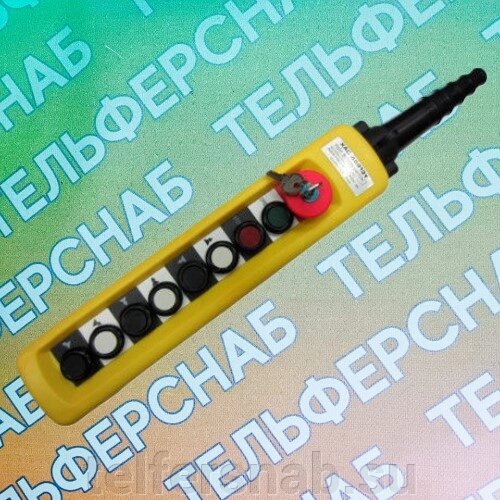 ПУЛЬТ 8 КНОПОЧНЫЙ, 2 СТУПЕНЧАТЫЕ КНОПКИ + СТОП БУТОН + СТАРТ + СТОП + КЛЮЧ (XАС-A8913Y) от компании ТЕЛЬФЕРСНАБ/ Грузоподъемное оборудование в Нижнем Новгороде - фото 1