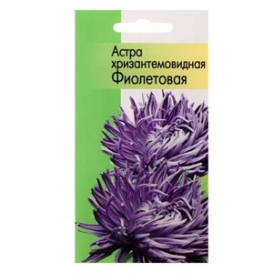 Семена Астра хризантемовидная Фиолетовая 0,2 гр
