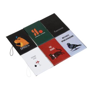 ЮL Обложка для паспорта с отд. для карт и удерживающей резинкой, ПВХ, 13,7х9,6см, 6 дизайнов, микс #2
