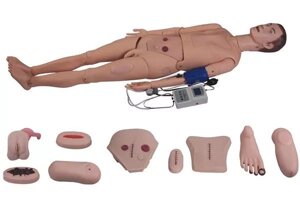 Многофункциональный манекен по уход за травмами, стомами, катетеризация, измерение АД, 2300