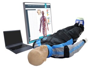 Тренажер для обучения навыкам сердечно-легочной реанимации "Олег-1.02" с анатомическим табло