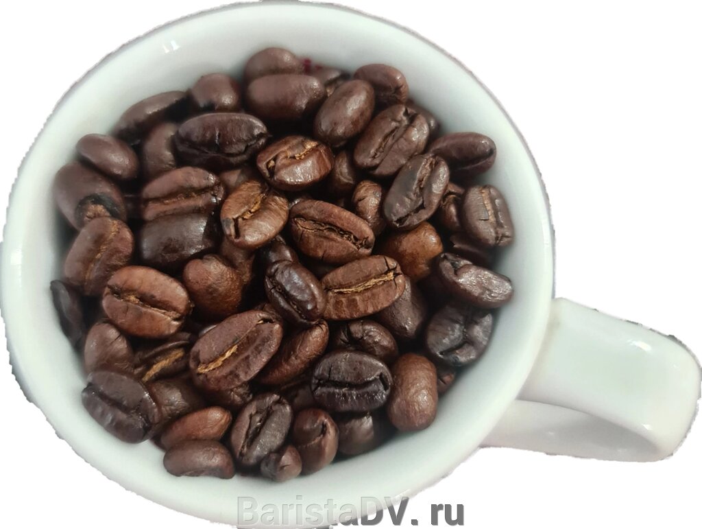 Форза от компании BaristaDV. ru - фото 1