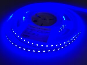 Светодиодная лента 120smd2835-IP20 Blue Prem