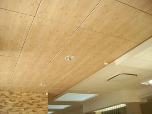Уникальный потолок OWA серия Bamboo