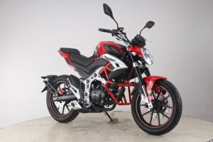 ROLIZ spider YS166FMM 250 сс с птс