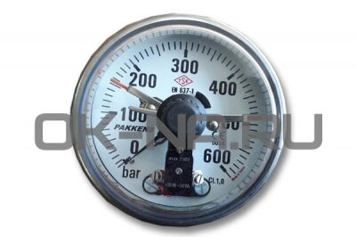 Манометр Pakkens контактный компонента B, 0-600 bar d100 мм Best Makina 2200 Cold от компании ООО "ТехКом" - фото 1
