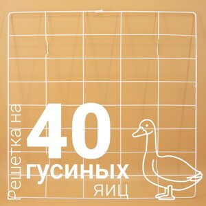 Решетка гусиная №5 на 40 ячеек для инкубатора Несушка 63