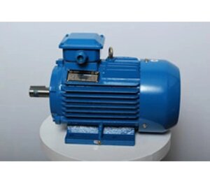 Электродвигатель АИР 180 М6 18,5 кВт*1000 об/мин. (2001)