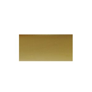 Профиль Т16-2мм гибкий, золото глянец