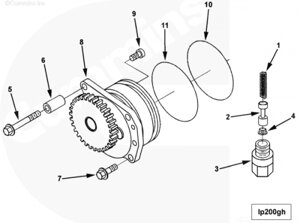 Кольцо уплотнительное масляного насоса для двигателя Cummins QSM 11L