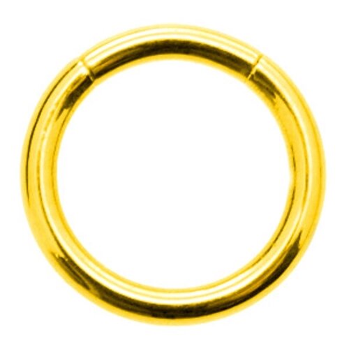 Сегментные кольца 1,2*8 мм из хирургической стали 316L анодированные под золото