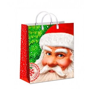 Новогодний подарочный пакет Мороз Красный нос, 27х23 cм, 150 мкм, мягкий пластик