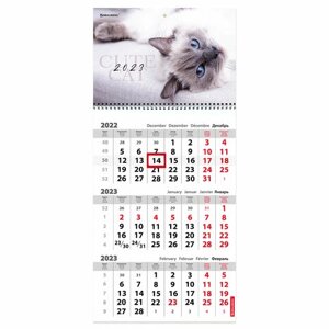 Календарь квартальный на 2023 г., 3 блока, 1 гребень, с бегунком, мелованная бумага, CUTE CAT, BRAUBERG, 114268