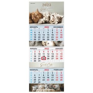 Календарь квартальный на 2023 г., 3 блока, 3 гребня, с бегунком, мелованная бумага, KITTENS, BRAUBERG, 114248