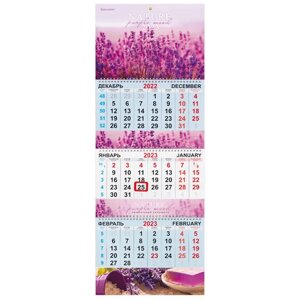 Календарь квартальный на 2023 г., 3 блока, 3 гребня, с бегунком, мелованная бумага, NATURE, BRAUBERG, 114249