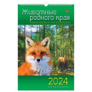 Календарь на гребне с ригелем на 2024 г., 30х45 см, ЛЮКС, Животные Родного Края, HATBER, 12Кнп3гр_29586