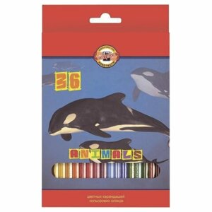 Карандаши цветные 36 ЦВЕТОВ KOH-I-NOOR Animals, заточенные, 3555/36