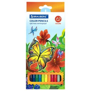 Карандаши цветные BRAUBERG Wonderful butterfly, 12 цветов, заточенные, картонная упаковка с блестками, 180535