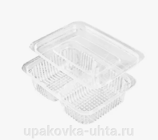 Контейнер для суши КС-155С2, Васаби+Имбирь, 2-х секц., 117* 85*30мм, прозрачн. /1000шт/50шт от компании "ПолиПак" ПАКЕТЫ - фото 1