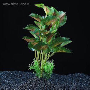 Растение аквариумное "в горшочке", 31 х 23 х 19 см