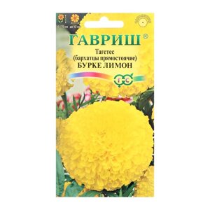Семена цветов Бархатцы прямые (Тагетес) Бурке Лимон", 0,3 г