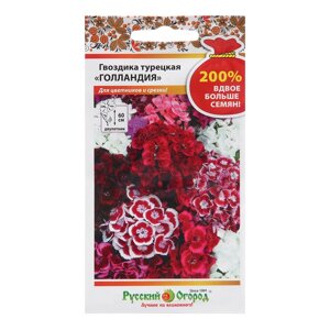 Семена цветов Гвоздика турецкая "Голландия" 200%0,5 г