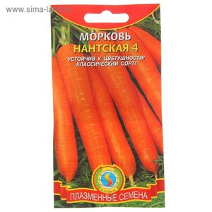 Семена Морковь "Нантская", 4", среднеспелая, 2 г