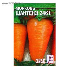 Семена Морковь "Шантенэ 2461", 0,5 г