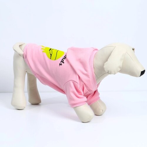 Толстовка Best Friends для собак (футер), размер M (ДС 26, ОШ 36-38, ОГ 46-50), розовая