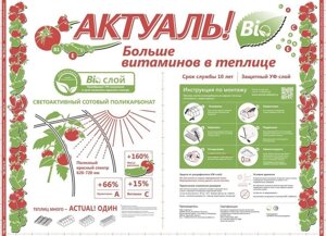 Сотовый поликарбонат AKTUAL bio 12000х2100х10 мм Прозрачный