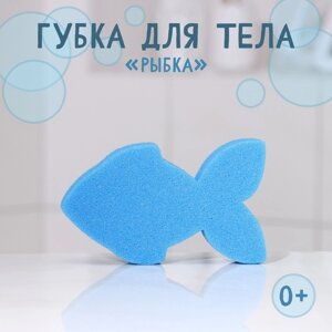 Губка для тела детская «Рыбка», 9015040 мм, цвет микс