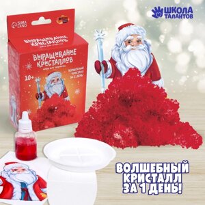 Набор для творчества «Лучистые кристаллы»Дед Мороз, цвет красный