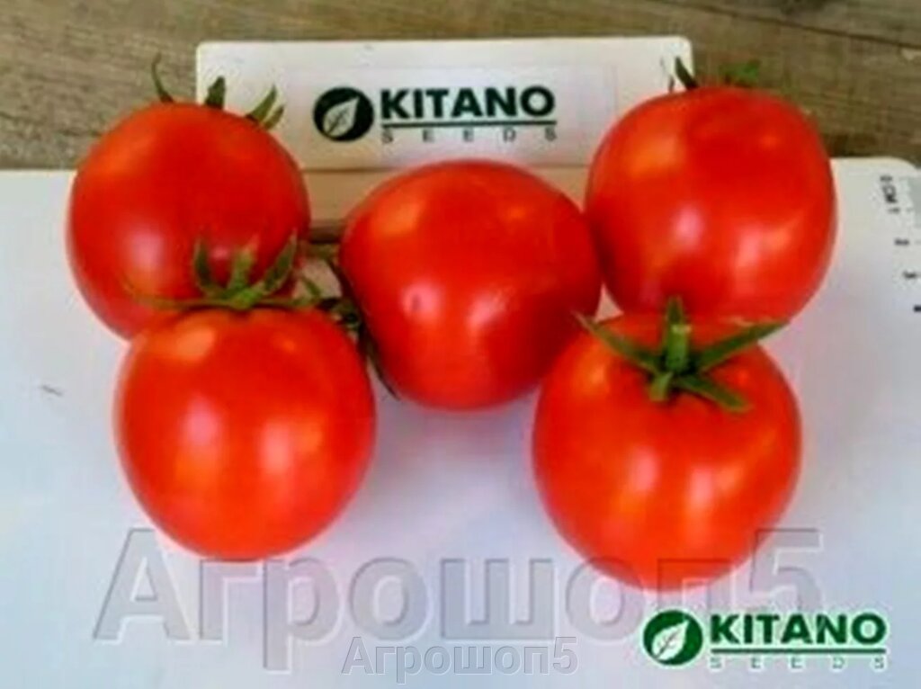 Томат Асвон F1. 5000 семян. Kitano. Япония. Красный ранний урожайный жаростойкий дет для ОГ. Профупаковка. ##от компании## Агрошоп5 - ##фото## 1