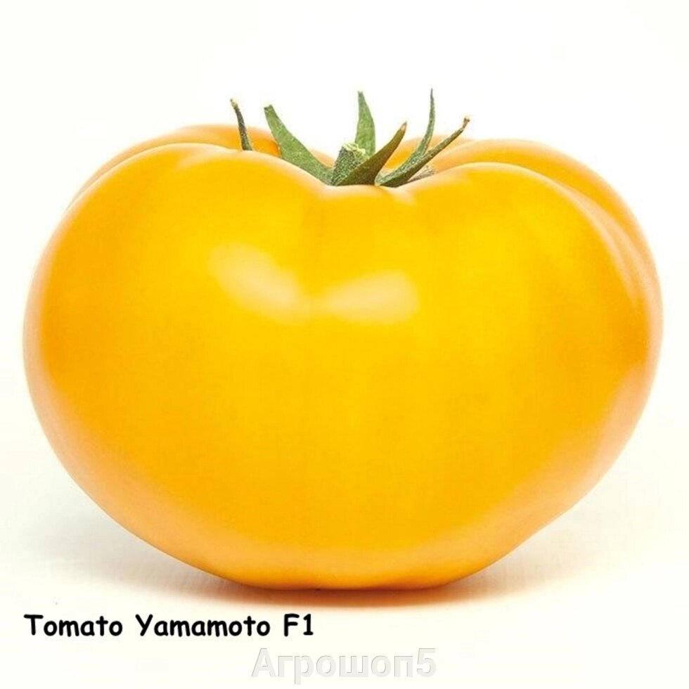 Томат Осуми | KS 10 F1. 50 семян. Kitano. Золотисто-желтый округло-приплюсн. 250-300 г. Ранний индет, теплица. Фасовка от компании Агрошоп5 - фото 1