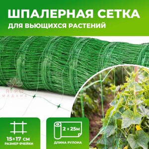 Шпалерная сетка - 2x25м (фасованная)