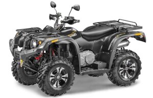 Квадроцикл STELS ATV 600 Y leopard
