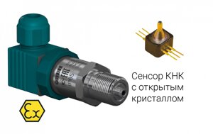 ПД100И датчик низкого давления для неагрессивных газов в исполнении EXI