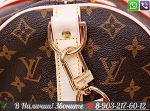 Louis Vuitton Луи Витон Дорожная Сумка в коричневую букву