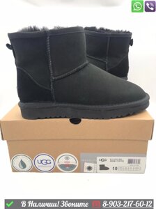 Мужские угги UGG Classic Mini низкие