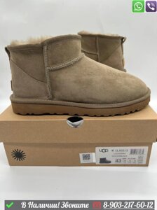 Мужские угги UGG Classic Mini зимние бежевые