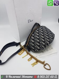 Поясная Сумка Christian Dior Saddle на пояс текстильная Диор Клатч