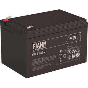 Аккумуляторная батарея FIAMM FG21202
