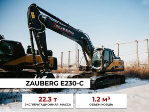 Гусеничный экскаватор Zauberg E230-C негабарит SF