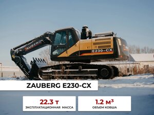 Гусеничный экскаватор Zauberg E230-CX габарит EG