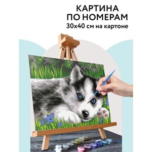 Картина по номерам на картоне 30 40 см «Голубоглазый пушистик», с акриловыми красками и кистями